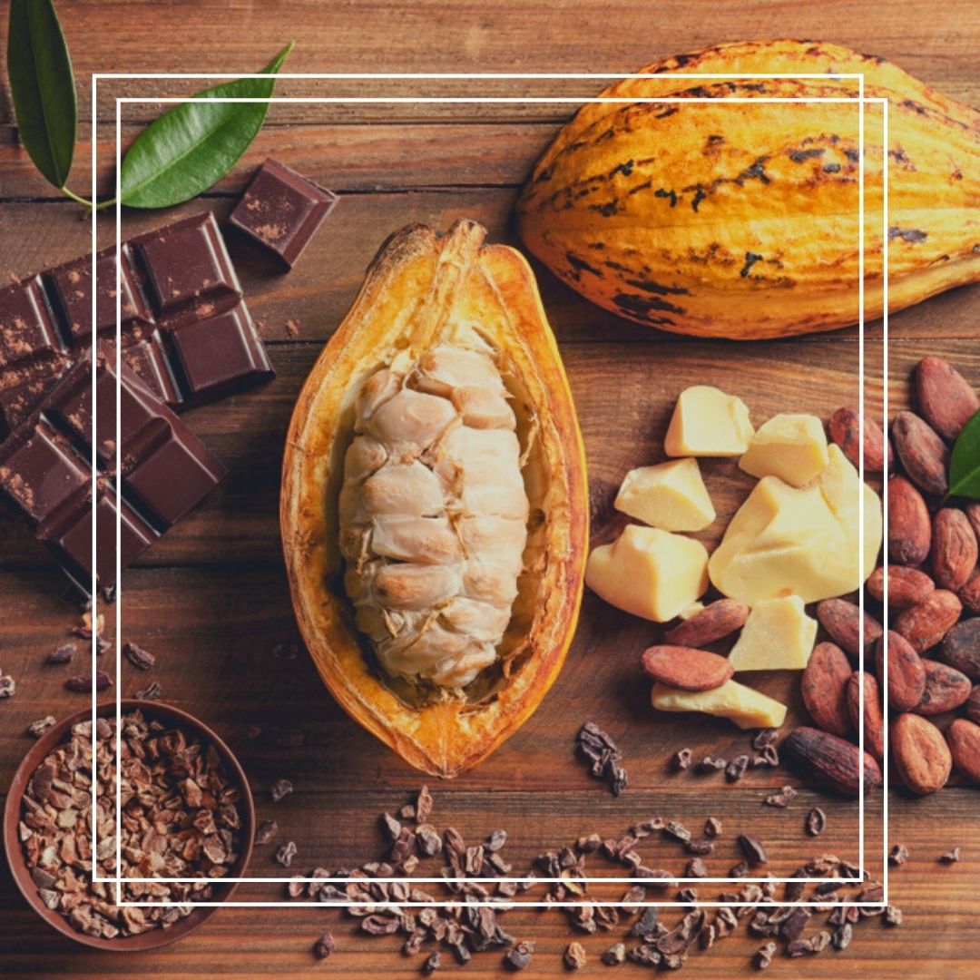 choco rico –Bean to Bar Chocolate Lab